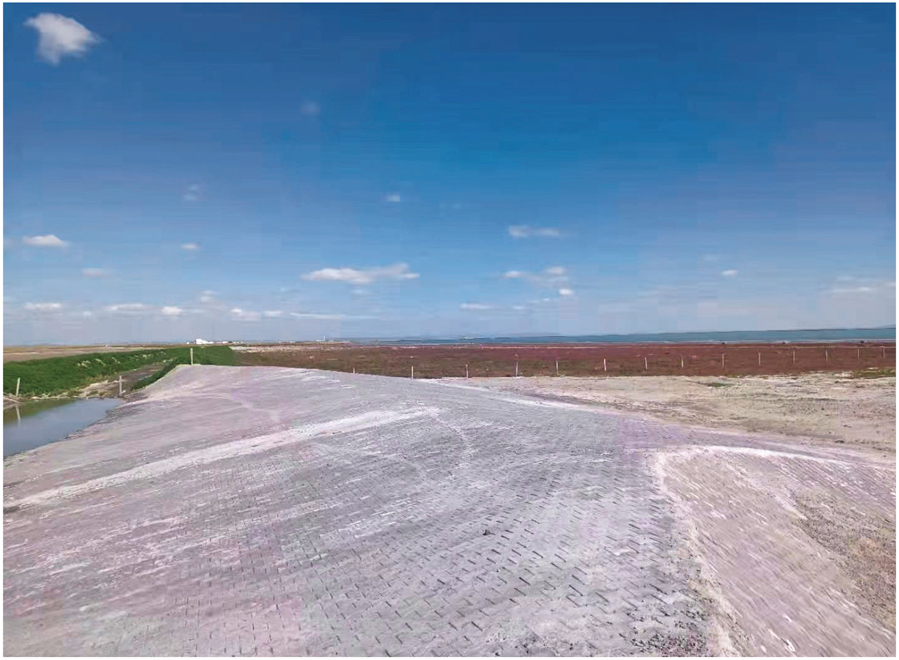 达里诺尔国家自然保护区湿地保护和恢复建设项目